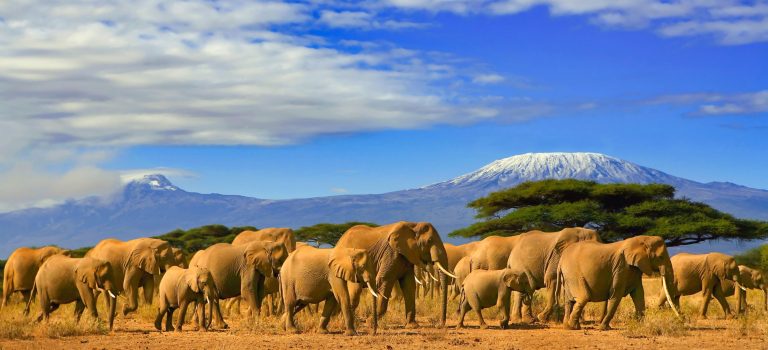 Mount Kilimanjaro