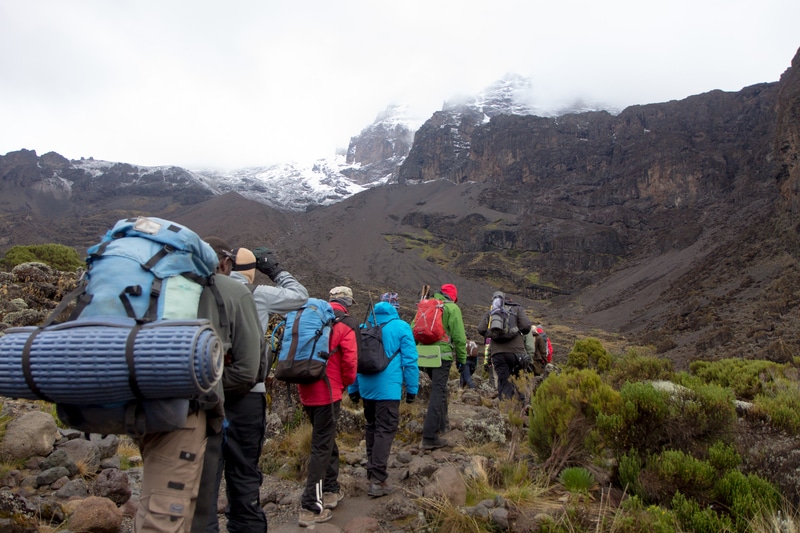 Mount Kilimanjaro Hikers