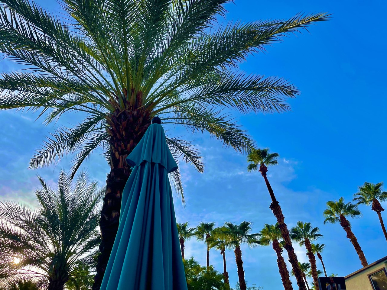 Margaritaville Palm Springs