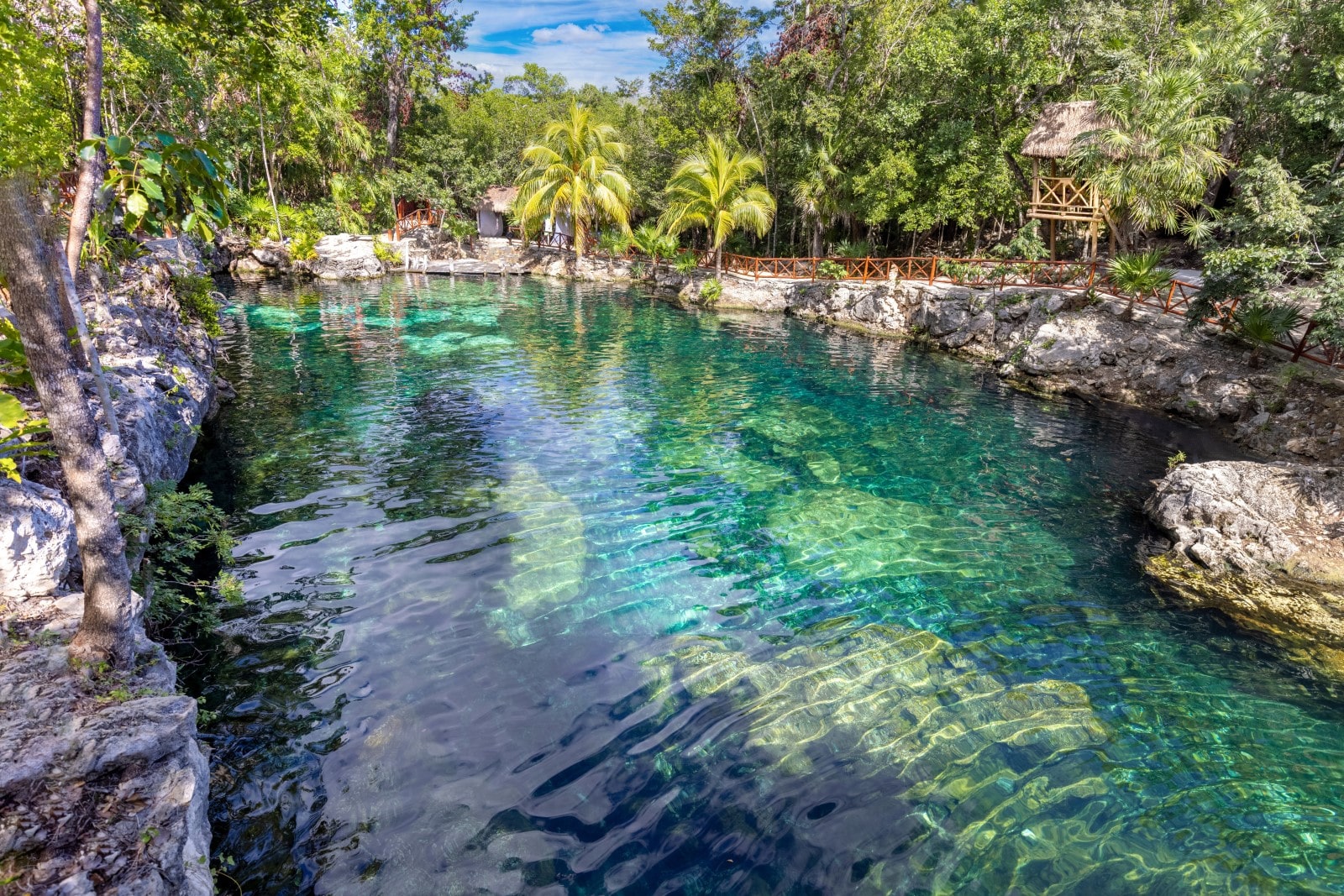 Caves and Pools of Cenote Casa Tortuga near Tulum and Playa Del Carmen.