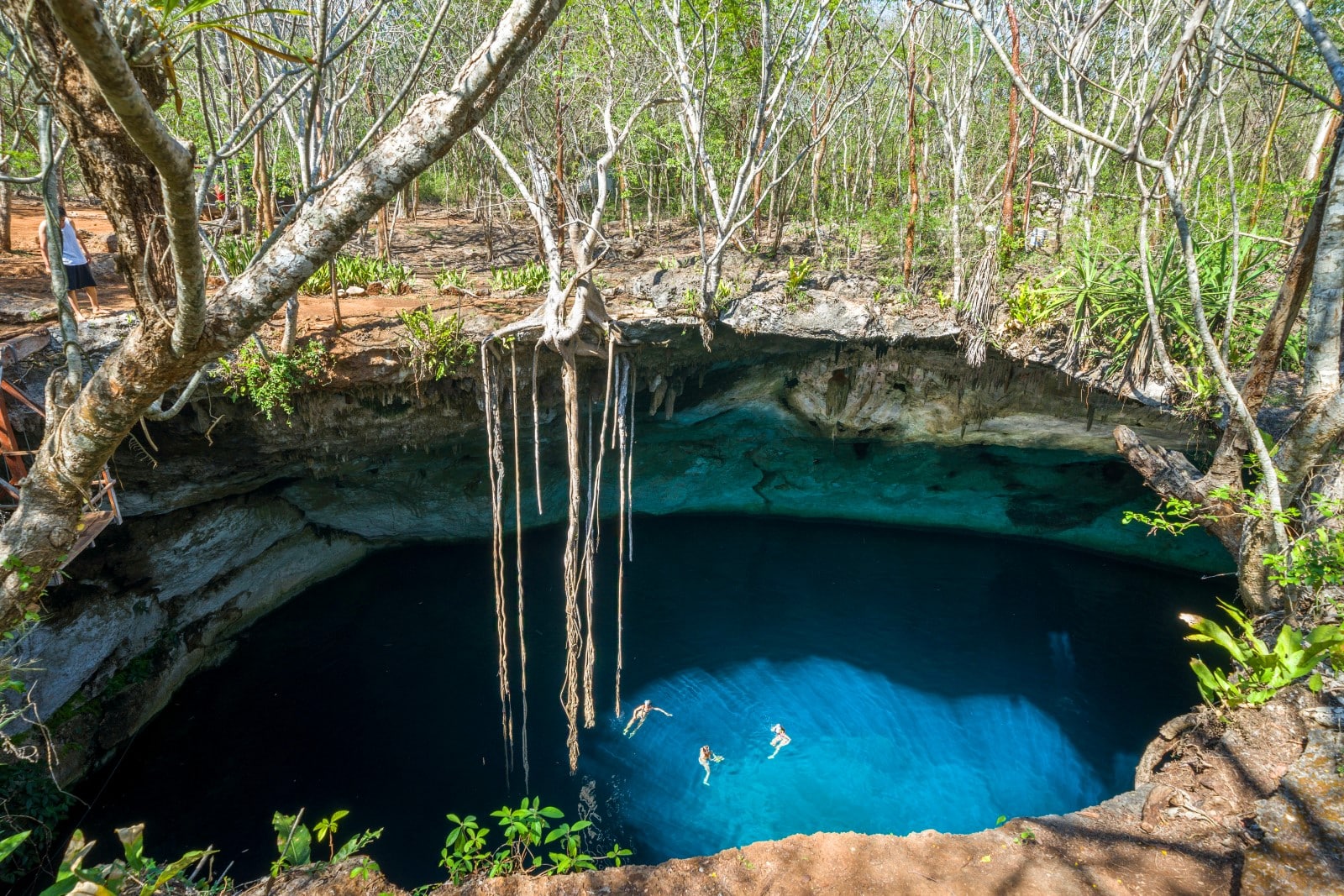 Noh Mozon Cenote with turquoise water and roots, Pixya, Yucatan