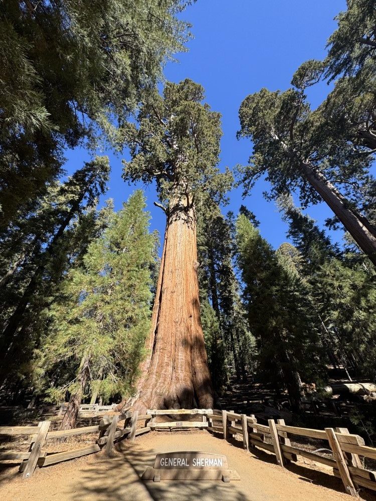 General Sherman