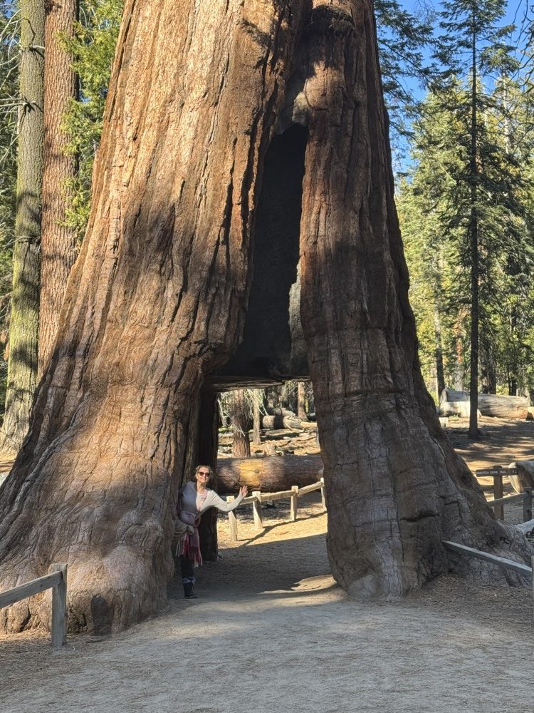 Mariposa Trail